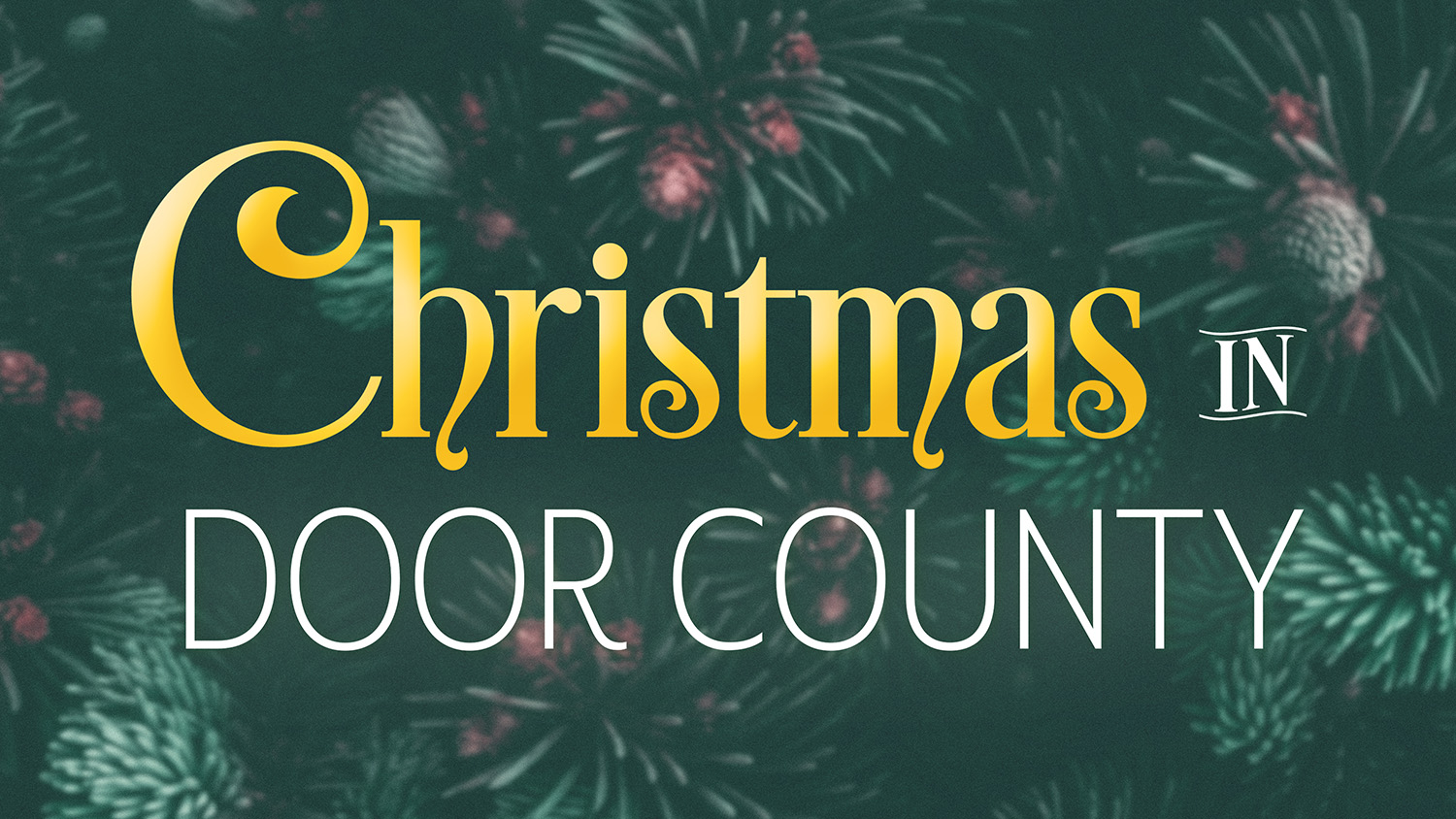 Logo for Christmas in Door County. The words hang in front of a close up photo of a Christmas tree.